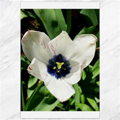 Blue Centered Tulip Canvas 20  X 30  by okhismakingart