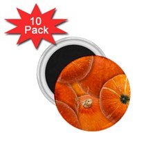 Pumpkin Halloween Fall Thanksgiving 1 75  Magnets (10 Pack)  by Pakrebo
