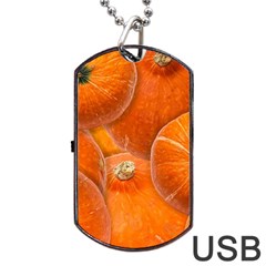 Pumpkin Halloween Fall Thanksgiving Dog Tag Usb Flash (one Side) by Pakrebo