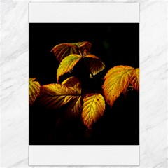 Nature Yellow Plant Leaves Canvas 20  X 30  by Pakrebo