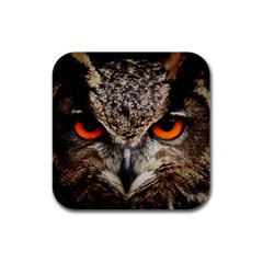 Owl Bird Eyes Eagle Owl Birds Rubber Square Coaster (4 Pack)  by Wegoenart