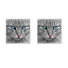 Cat Animal Cat Portrait Mackerel Cufflinks (square) by Sudhe