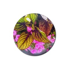 Coleus & Petunia Rubber Coaster (round)  by Riverwoman