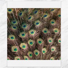 Bird 4099645 960 720 Canvas 11  X 14  by vintage2030
