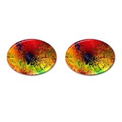Color Abstract Colorful Art Cufflinks (oval) by Wegoenart