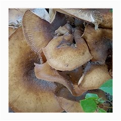 Close Up Mushroom Abstract Medium Glasses Cloth by Fractalsandkaleidoscopes