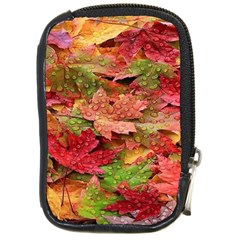 Spring Leafs Compact Camera Leather Case by Sparkle