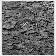 Black And White Texture Print Canvas 20  X 20  by dflcprintsclothing