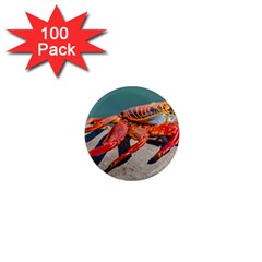 Colored Crab, Galapagos Island, Ecuador 1  Mini Magnets (100 Pack)  by dflcprintsclothing