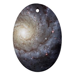 Spiral Galaxy Oval Ornament (two Sides) by ExtraAwesomeSauce