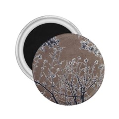 Linear Textured Botanical Motif Design 2 25  Magnets by dflcprintsclothing