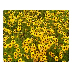Daisy May Double Sided Flano Blanket (large)  by LW323