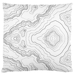 Topography Map Standard Flano Cushion Case (two Sides) by goljakoff