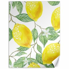 Vintage Lemons Canvas 18  X 24  by SomethingForEveryone