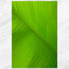 Banana Leaf Canvas 20  X 30  by artworkshop