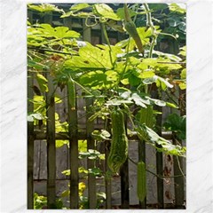 Bitter Melon Canvas 12  X 16  by artworkshop