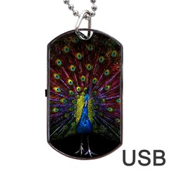 Beautiful Peacock Feather Dog Tag Usb Flash (two Sides) by Jancukart