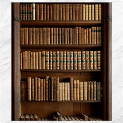 Books Bookcase Old Books Historical Canvas 8  X 10  by Amaryn4rt
