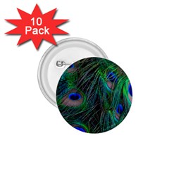 Beautiful Peacock Feathers 1 75  Buttons (10 Pack) by Ravend