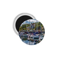 Piriapolis City Port, Maldonado, Uruguay 1 75  Magnets by dflcprintsclothing