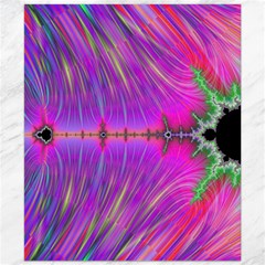 Fractal Fractals Abstract Art Canvas 20  X 24  by Ravend