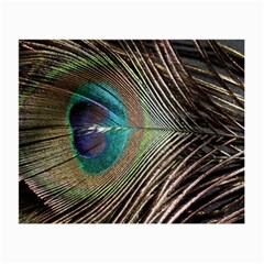 Peacock Small Glasses Cloth by StarvingArtisan