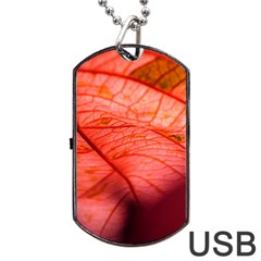 Leaf Copper Leaf Plant Nature Dog Tag Usb Flash (one Side) by Ravend