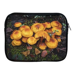 Orange Mushrooms In Patagonia Forest, Ushuaia, Argentina Apple Ipad 2/3/4 Zipper Cases by dflcprintsclothing
