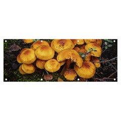 Orange Mushrooms In Patagonia Forest, Ushuaia, Argentina Banner And Sign 8  X 3  by dflcprintsclothing