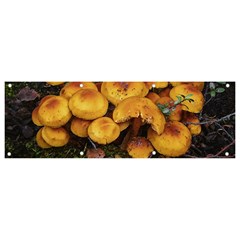 Orange Mushrooms In Patagonia Forest, Ushuaia, Argentina Banner And Sign 9  X 3  by dflcprintsclothing
