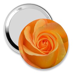 Flower Plant Rose Nature Garden Orange Macro 3  Handbag Mirrors by Ravend