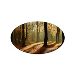 Autumn Nature Woodland Woods Trees Sticker (oval) by Jancukart