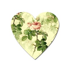 Roses-59 Heart Magnet by nateshop