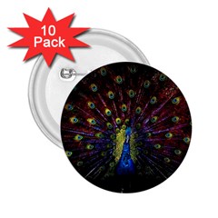 Peacock Feathers 2 25  Buttons (10 Pack)  by Wav3s