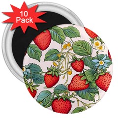 Strawberry Fruit 3  Magnets (10 Pack)  by Amaryn4rt