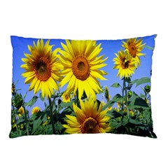 Sunflower Gift Pillow Case (two Sides) by artworkshop