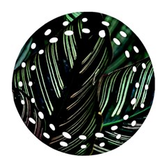 Calathea Leaves Strippe Line Ornament (round Filigree) by Ravend