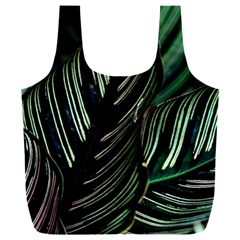 Calathea Leaves Strippe Line Full Print Recycle Bag (xxl) by Ravend
