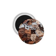 3d Vintage World Map 1 75  Magnets by Grandong