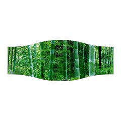 Bamboo Forest Squid Family Stretchable Headband by Grandong