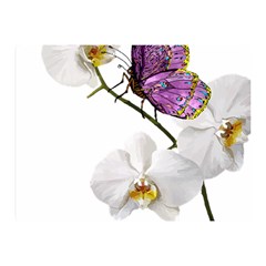 Butterfly Art T- Shirtbutterfly T- Shirt (2) Two Sides Premium Plush Fleece Blanket (mini) by JamesGoode
