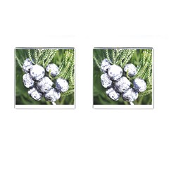 Gin T- Shirt Gin Juniper Berry Plant Photo T- Shirt Cufflinks (square) by EnriqueJohnson