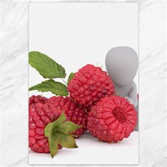 Fruit-healthy-vitamin-vegan Canvas 20  X 30  by Ket1n9