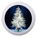 Tree Pine White Starlight Night Winter Christmas Dento Box with Mirror Front