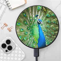 Peafowl Peacock Wireless Fast Charger(black) by Sarkoni