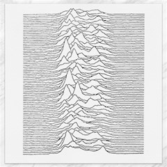 Joy Division Unknown Pleasures Canvas 12  X 12  by Maspions