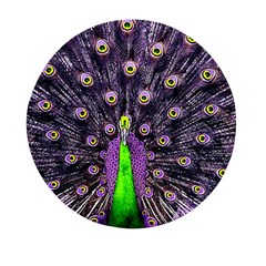 Peacock Bird Color Mini Round Pill Box (pack Of 3) by Cendanart
