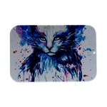 Cat Open Lid Metal Box (Silver)   Front