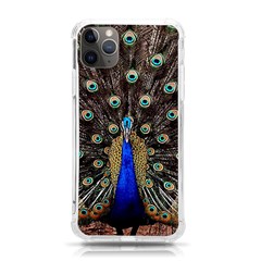 Peacock Iphone 11 Pro Max 6 5 Inch Tpu Uv Print Case by Ket1n9