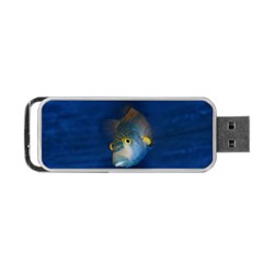 Fish Blue Animal Water Nature Portable Usb Flash (one Side) by Hannah976